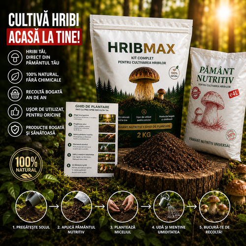 Miceliul de Hrib pentru Grădină – HribMax™